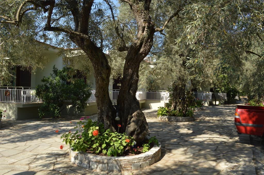 Guesthouse Irene Áfiszosz Kültér fotó
